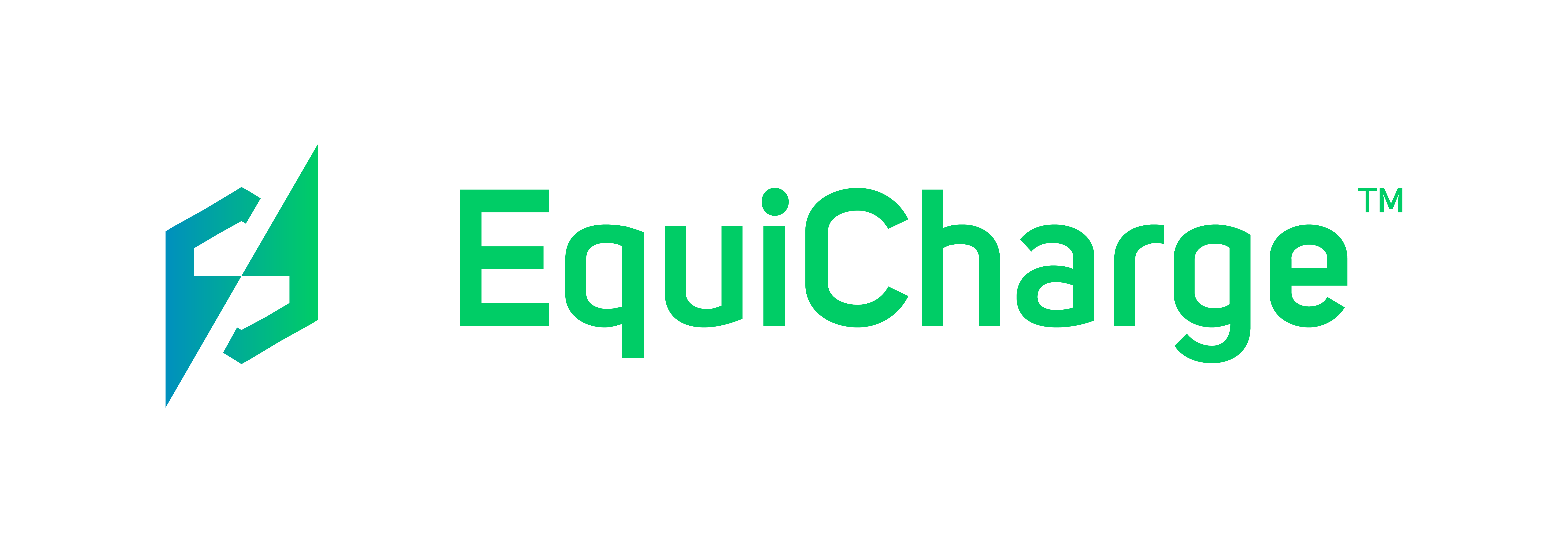EquiCharge Solutions Logo